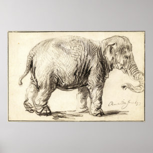 Rembrandt - Olifant 1637 Poster