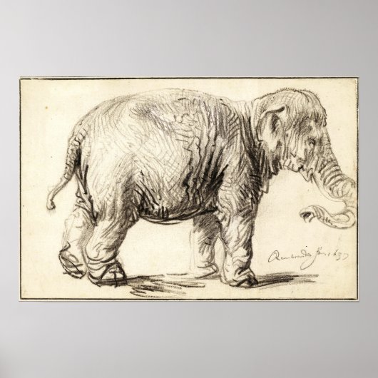 Rembrandt - Olifant 1637 Poster (Voorkant)