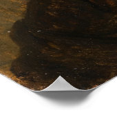 Rembrandt - Self-Portrait Poster (Hoek)