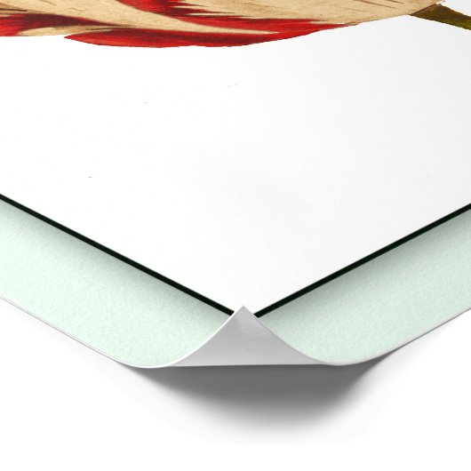 Rembrandt Tulip Pop Art Poster Print (Hoek)