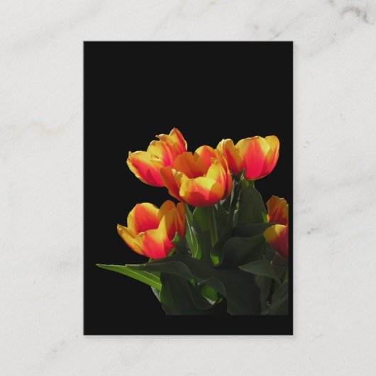 Rembrandt Tulips ATC-fotokaart Visitekaartje (Voorkant)