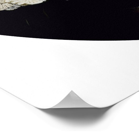 Rembrandt - Young Woman Poster (Hoek)