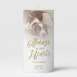 Remember Dog Beloved One Pet Passed Away