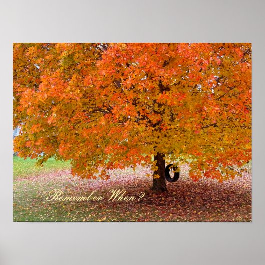 Remember When? Poster (Voorkant)