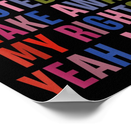 Remember When You Voted To Take Away My Rights Me  Poster (Hoek)