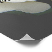 Remembrance sign, Missing you, white rose Poster (Hoek)