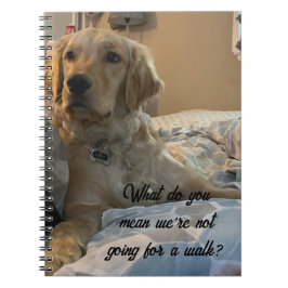 Remi the Golden Retriever Notitieboek