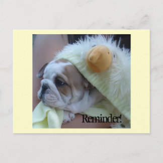 Reminder Postcards English Bulldog Puppy Briefkaart