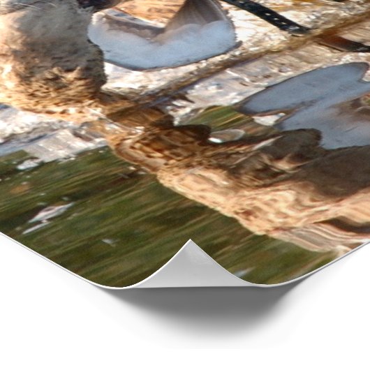 Remington Poster (Hoek)