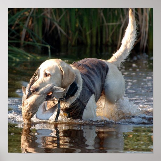 Remington Poster (Voorkant)