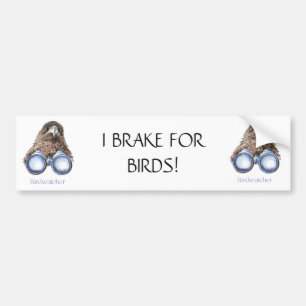 REMMEN VOOR VOGELS GRAPPIG VOGEL KIJKEN HAWK QUOTE BUMPERSTICKER