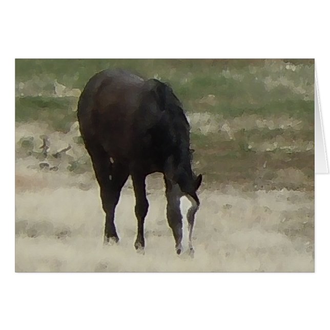 Remuda Herd Grazes - Rasbaarppaarden - Blank (Voorkant Horizontaal)