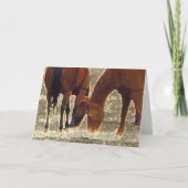 Remuda Herd Vrienden in de Hemel Kaart (Achterkant)