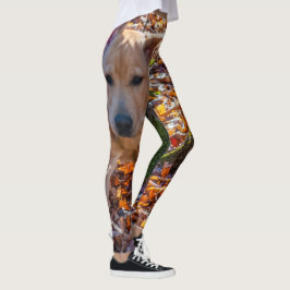 Ren als een lab. leggings