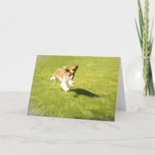 Ren hond loopt in de tuin Wenskaart Kaart