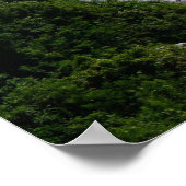 Ren in het Poster van de armen (Hoek)