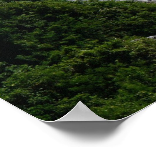 Ren in het Poster van de armen (Hoek)