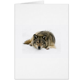 Ren met de Wolf