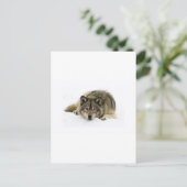 Ren met de Wolf Briefkaart (Staand voorkant)