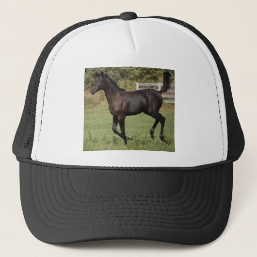 Ren-Paard-2 Trucker Pet (Voorkant)