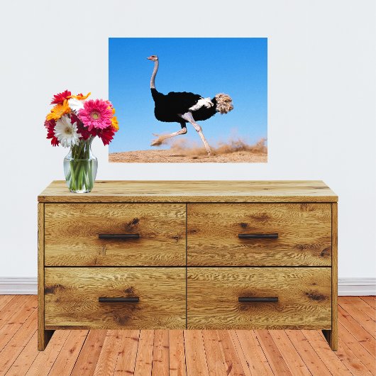 Ren Struisvogel Ren 20x16 Foto Afdruk