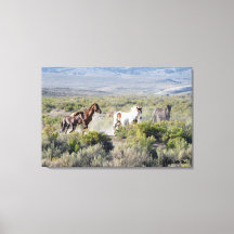 Ren voor altijd vrij