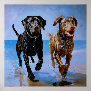 "Ren vrij, ren samen" aan het strand Best Buddies  Poster