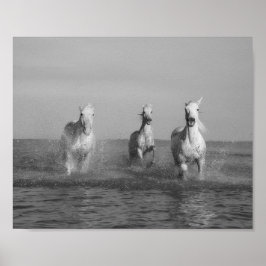 Ren, witte paarden, oceaan, mooie kunstfotografie poster