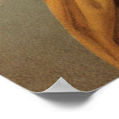 Renaissance Angel die Violin Melozzo da Forli spee Poster (Hoek)