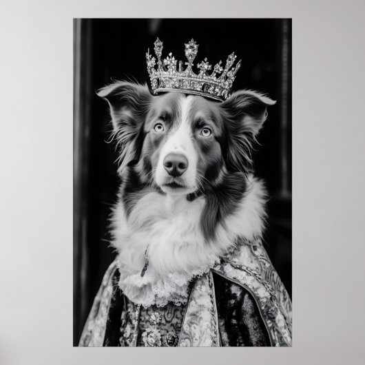 Renaissance Australian Shepherd Portrait, Royal Poster (Voorkant)