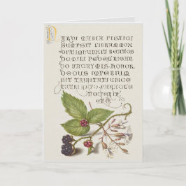 Renaissance Blackberry Fruit Kalligrafie Kaart