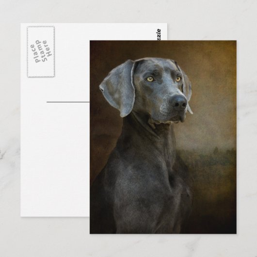 Renaissance Blue Briefkaart (Voorkant / Achterkant)