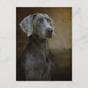 Renaissance Blue Briefkaart