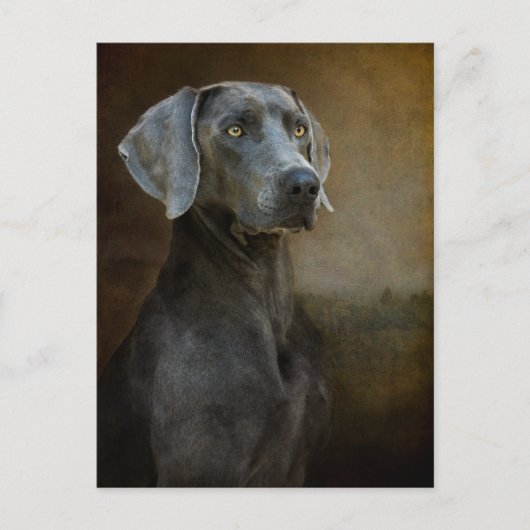 Renaissance Blue Briefkaart (Voorkant)