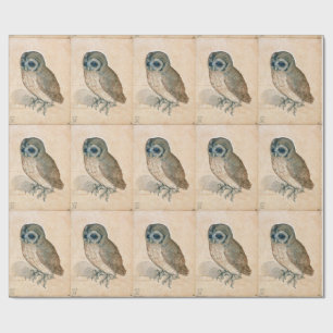 RENAISSANCE DIERENTEKENINGEN / DE UIL CADEAUPAPIER