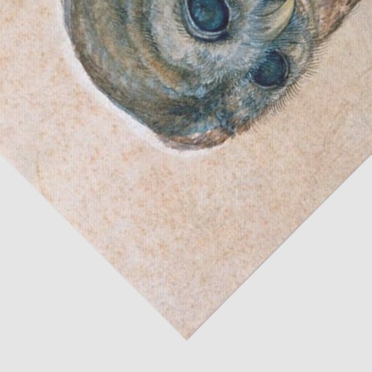 RENAISSANCE DIERENTEKENINGEN / DE UIL TISSUEPAPIER (Detail)