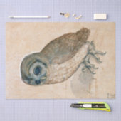 RENAISSANCE DIERENTEKENINGEN / DE UIL TISSUEPAPIER (Craft)