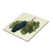 Renaissance Era Grapes van Jacques le Moyne Tegeltje (Zijkant)