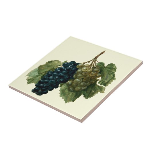 Renaissance Era Grapes van Jacques le Moyne Tegeltje (Zijkant)