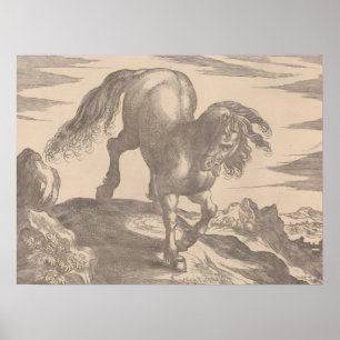 Renaissance Horse Poster  hengst op de heuvel