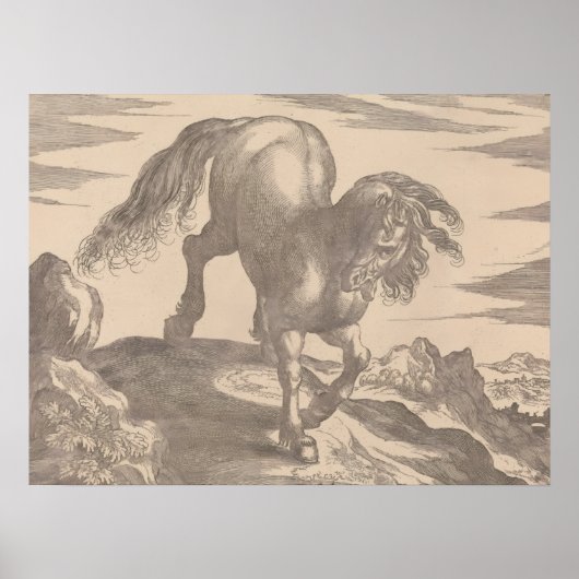Renaissance Horse Poster  hengst op de heuvel (Voorkant)