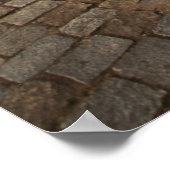 Renaissance Houses Poster (Hoek)