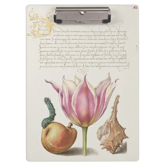 Renaissance kalligrafie kunst Roze Tulp en Peer Klembord (Voorkant)