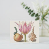 Renaissance kalligrafiekunst Roze Tulp en Peer Briefkaart (Staand voorkant)
