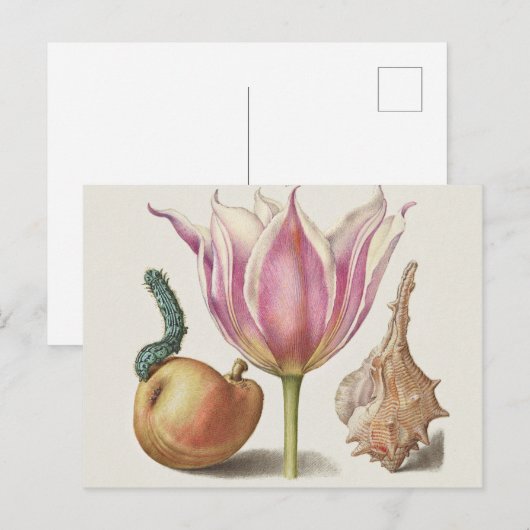 Renaissance kalligrafiekunst Roze Tulp en Peer Briefkaart (Voorkant / Achterkant)