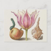 Renaissance kalligrafiekunst Roze Tulp en Peer Briefkaart (Voorkant)