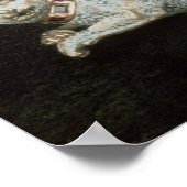 Renaissance kattenwerper poster (Hoek)