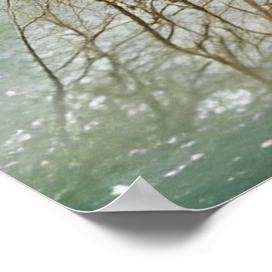 Renaissance Mermaid Poster (Hoek)