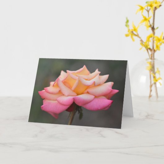 Renaissance Roos 1 Kaart (Gele Bloem)