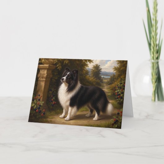 Renaissance Shetland Sheepdog Blank Kaart (Voorkant)